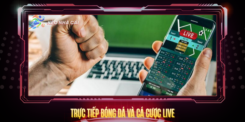 Kèo Nhà Cái degreelabs - Bóng Đá Kết Quả Kèo Nhà Cái 5 Hôm Nay 6 Truc Tiep Bong Da Va Ca Cuoc Live
